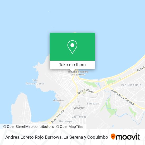 Andrea Loreto Rojo Burrows map