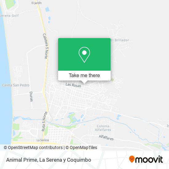 Animal Prime map