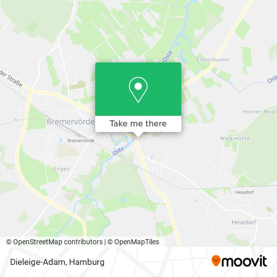Dieleige-Adam map