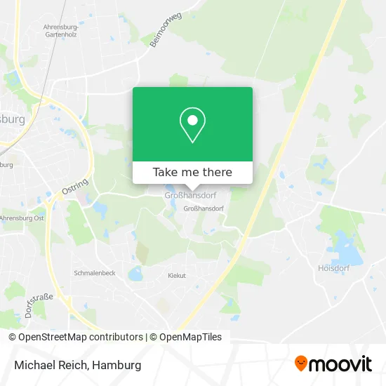 Michael Reich map