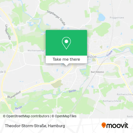 Карта Theodor-Storm-Straße