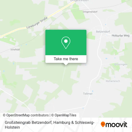 Карта Großsteingrab Betzendorf