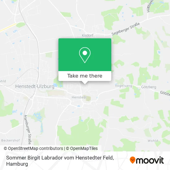 Карта Sommer Birgit Labrador vom Henstedter Feld