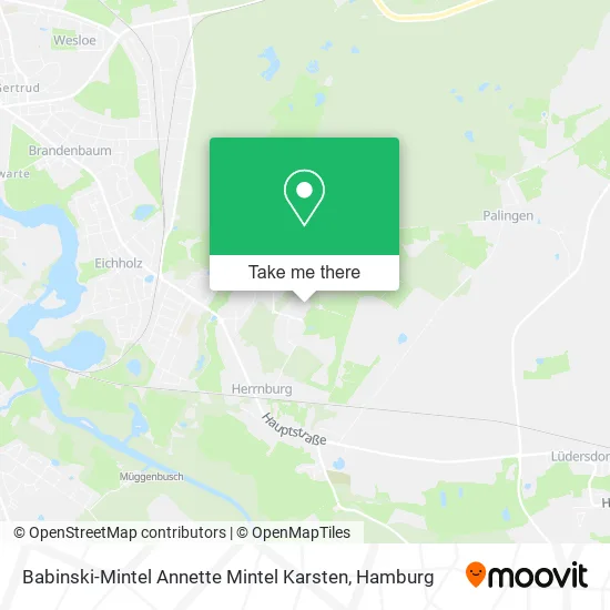 Карта Babinski-Mintel Annette Mintel Karsten