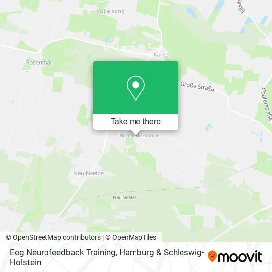 Карта Eeg Neurofeedback Training