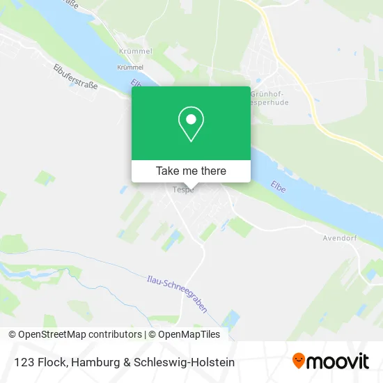 Карта 123 Flock