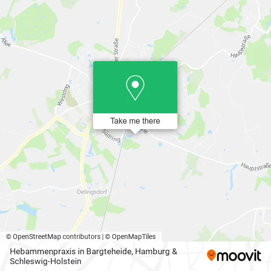 Карта Hebammenpraxis in Bargteheide