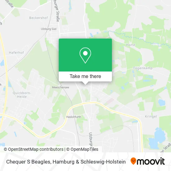 Карта Chequer S Beagles