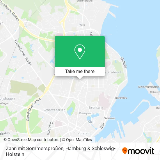 Карта Zahn mit Sommersproßen