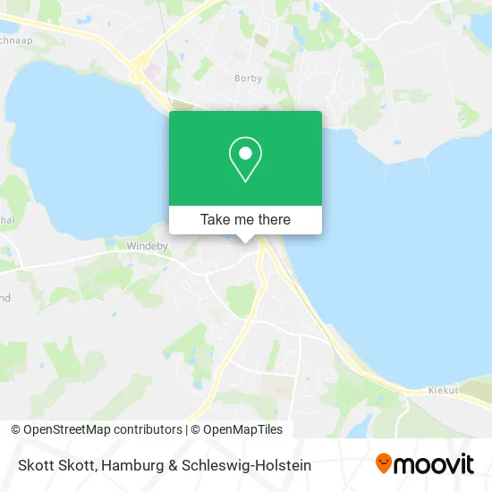 Карта Skott Skott