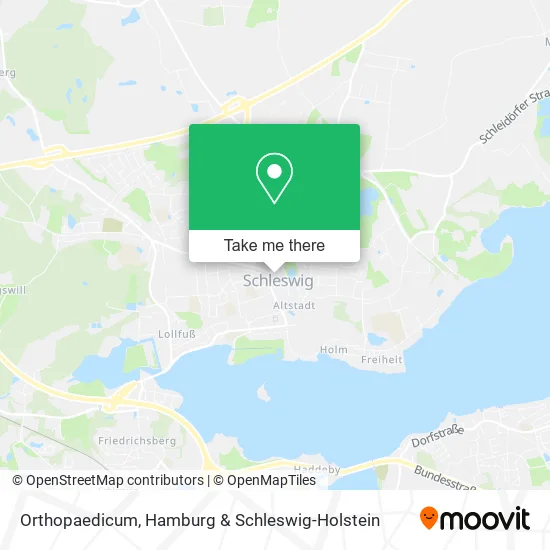 Карта Orthopaedicum