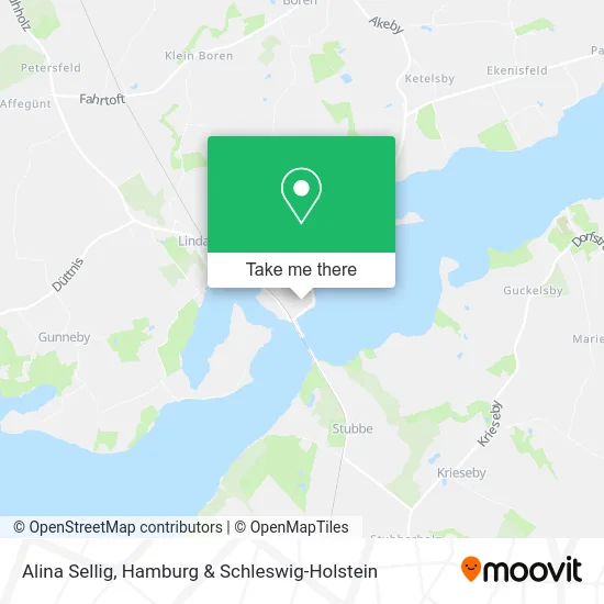 Карта Alina Sellig