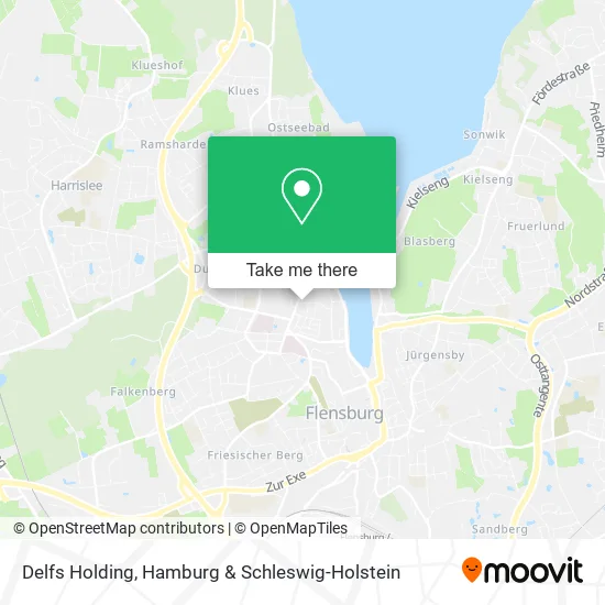 Карта Delfs Holding