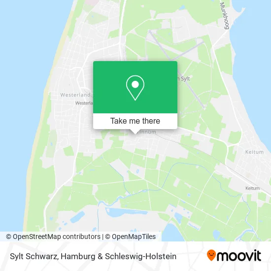 Карта Sylt Schwarz