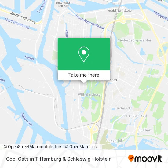 Карта Cool Cats in T