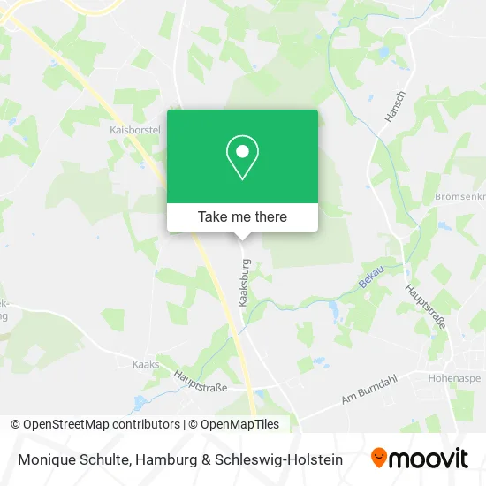 Карта Monique Schulte