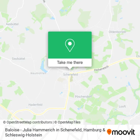 Карта Baloise - Julia Hammerich in Schenefeld