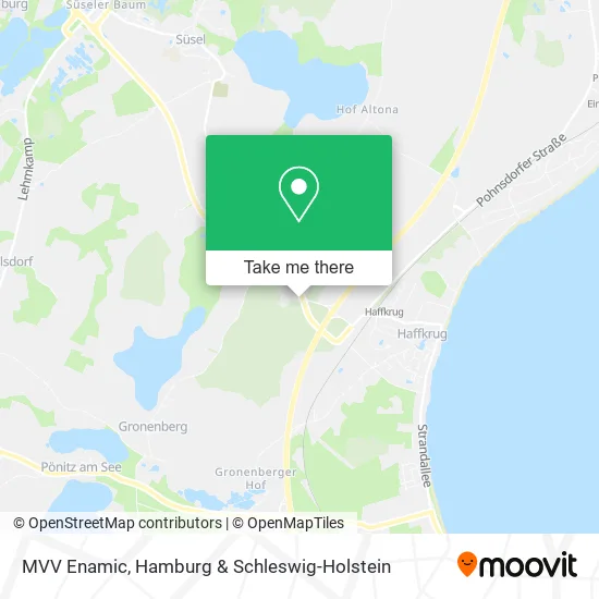 Карта MVV Enamic