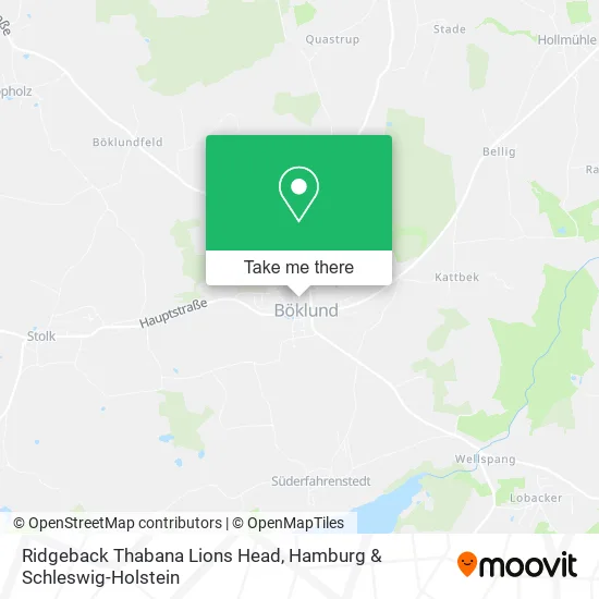 Карта Ridgeback Thabana Lions Head