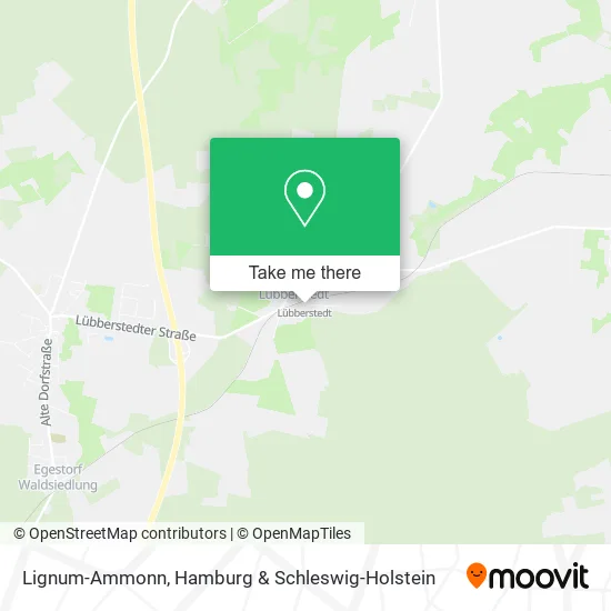 Карта Lignum-Ammonn