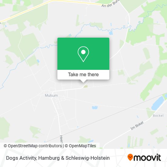 Dogs Activity map