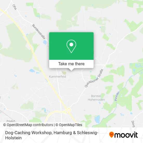 Карта Dog-Caching Workshop