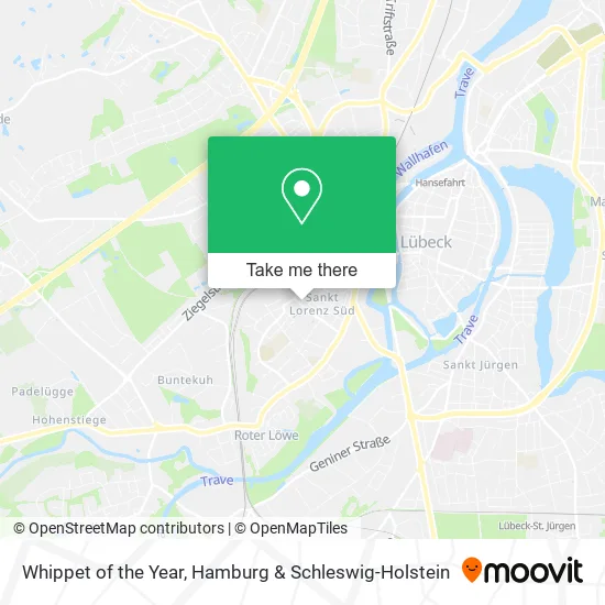 Карта Whippet of the Year