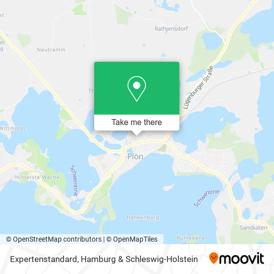 Карта Expertenstandard