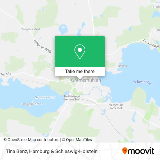 Карта Tina Benz