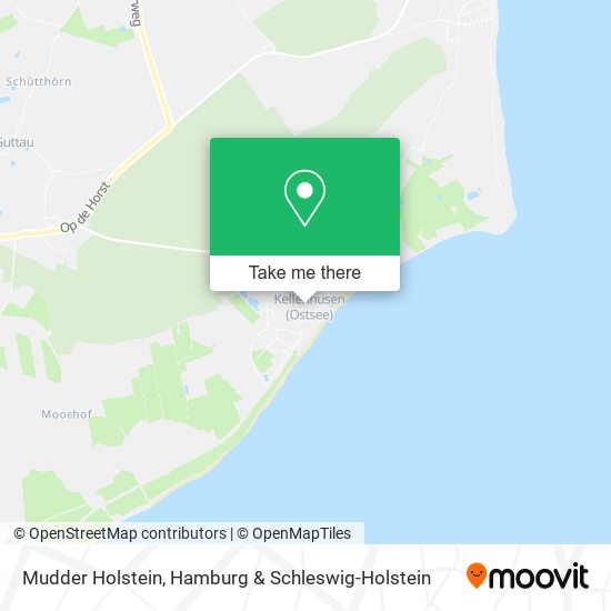 Mudder Holstein map