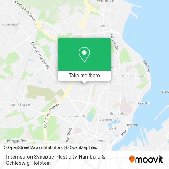 Карта Interneuron Synaptic Plasticity