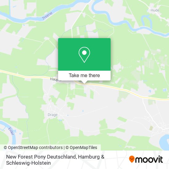New Forest Pony Deutschland map