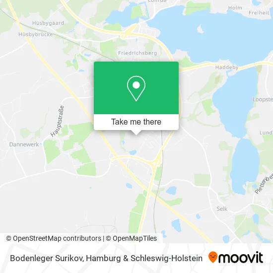 Карта Bodenleger Surikov