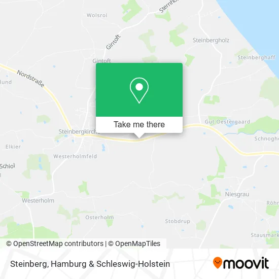Steinberg map