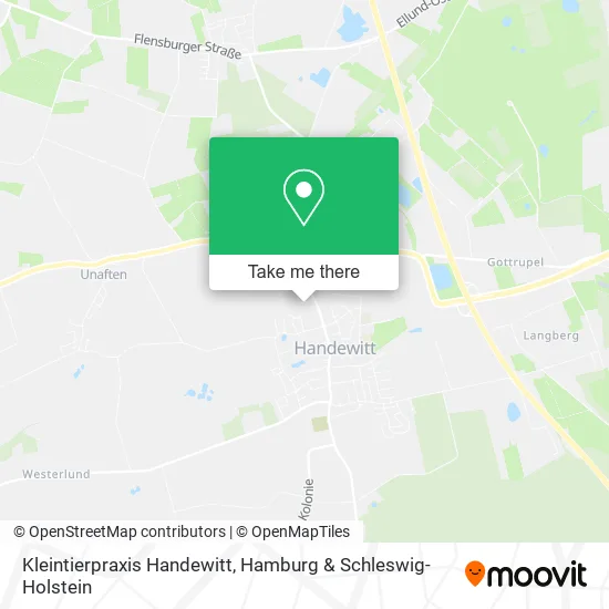 Карта Kleintierpraxis Handewitt
