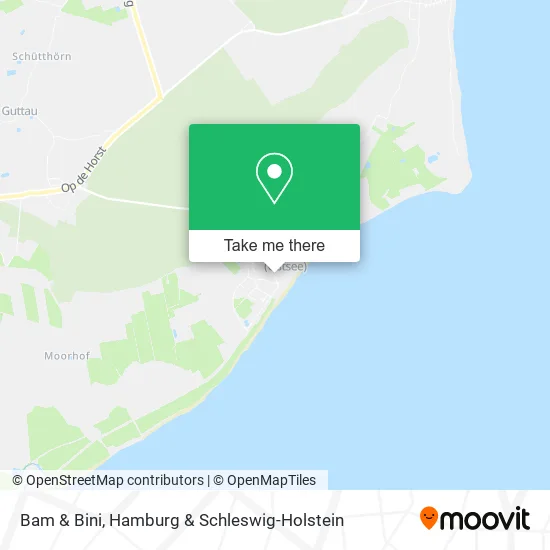 Карта Bam & Bini