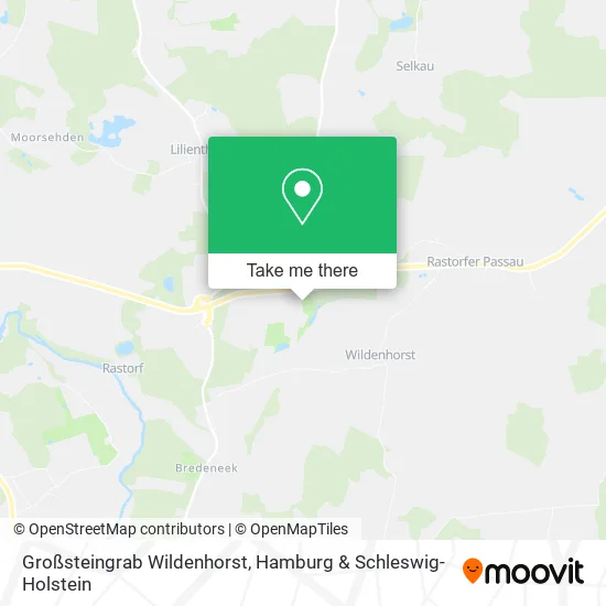 Карта Großsteingrab Wildenhorst