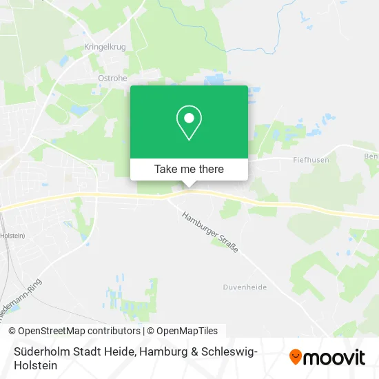 Карта Süderholm Stadt Heide