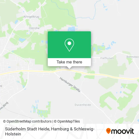 Карта Süderholm Stadt Heide