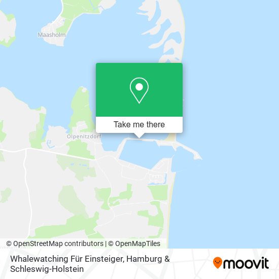 Whalewatching Für Einsteiger map