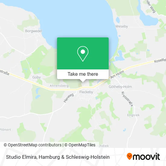 Карта Studio Elmira