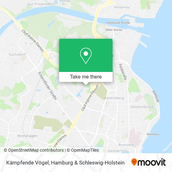Kämpfende Vögel map