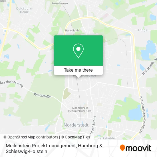 Карта Meilenstein Projektmanagement