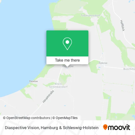 Карта Diaspective Vision