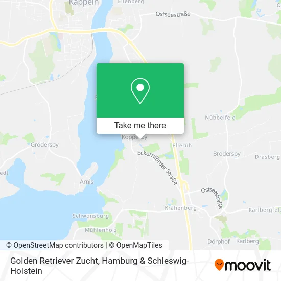 Карта Golden Retriever Zucht