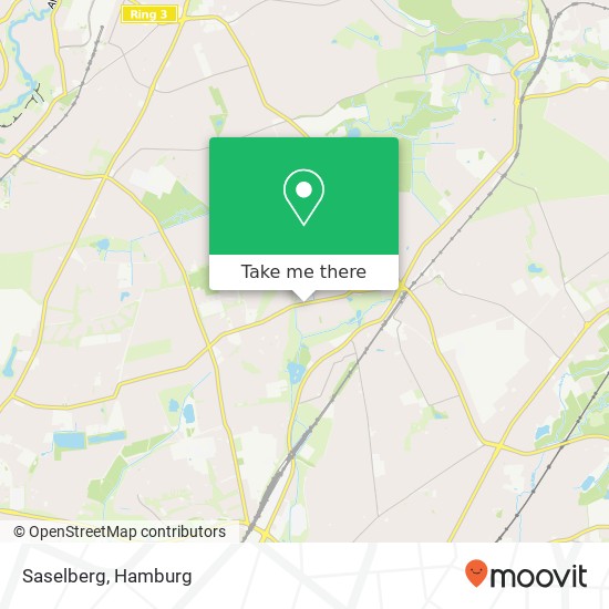 Saselberg map