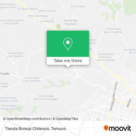 Tienda Bonsai Chilensis map