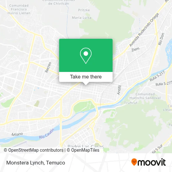 Monstera Lynch map