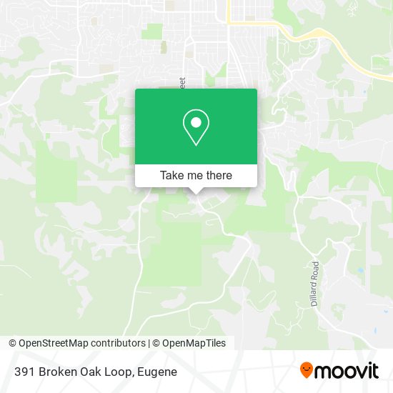 Mapa de 391 Broken Oak Loop