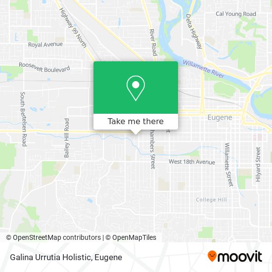 Galina Urrutia Holistic map